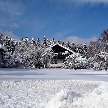 Holiday Home In Lossburg Near The Ski Area Экстерьер фото