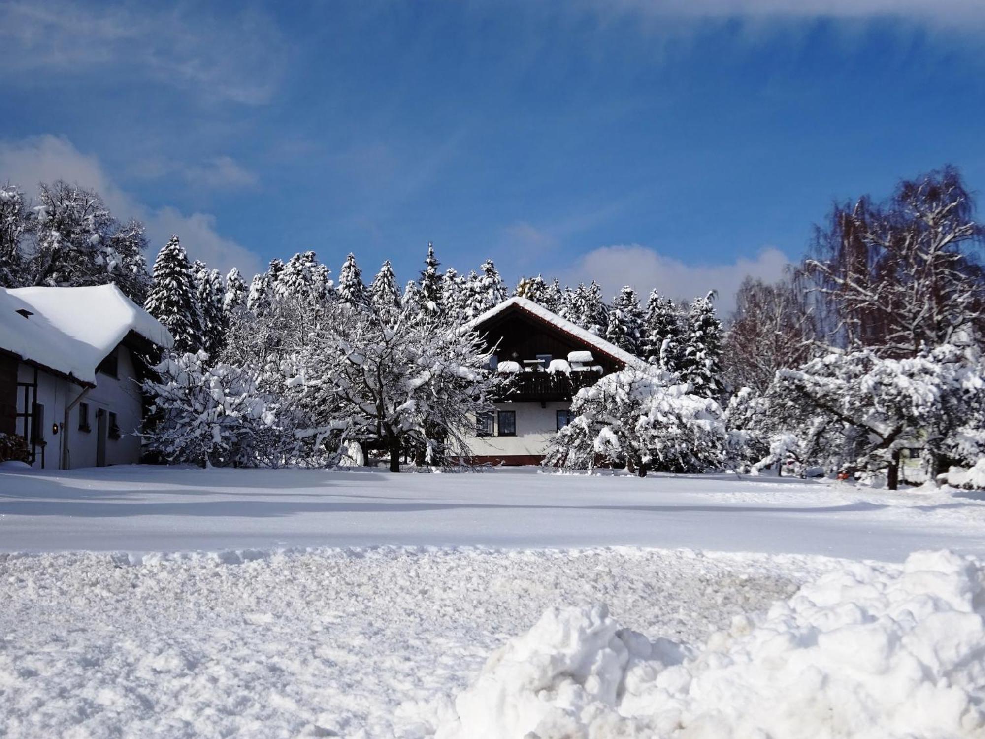 Holiday Home In Lossburg Near The Ski Area Экстерьер фото